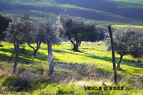 Podere Miniera